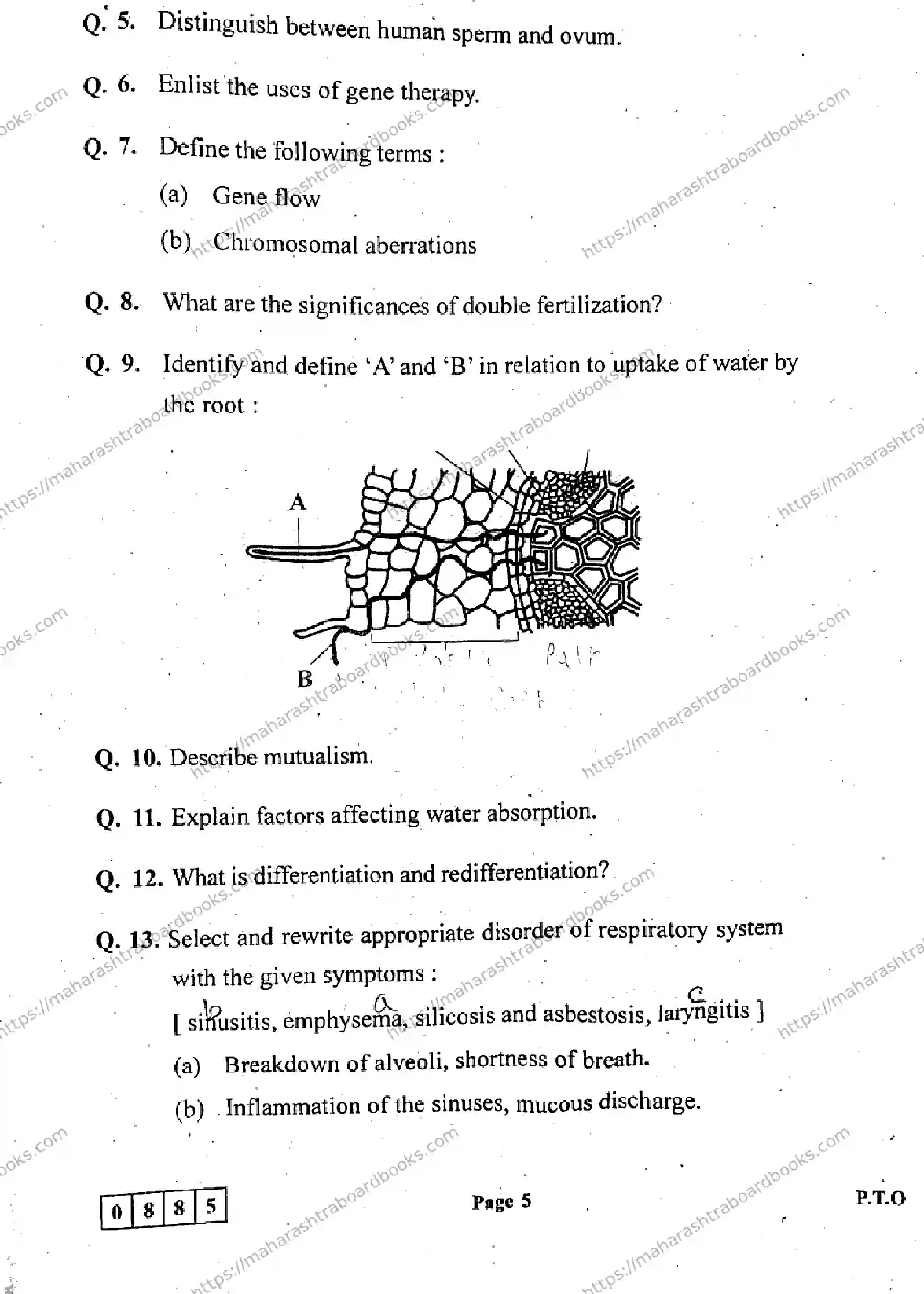 Maharashtra Board Solution HSC Biology Default Set 2024 Image 5