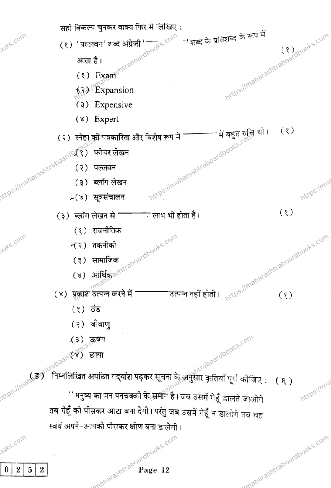 Maharashtra Board Solution HSC Hindi J-252 2025 Image 12