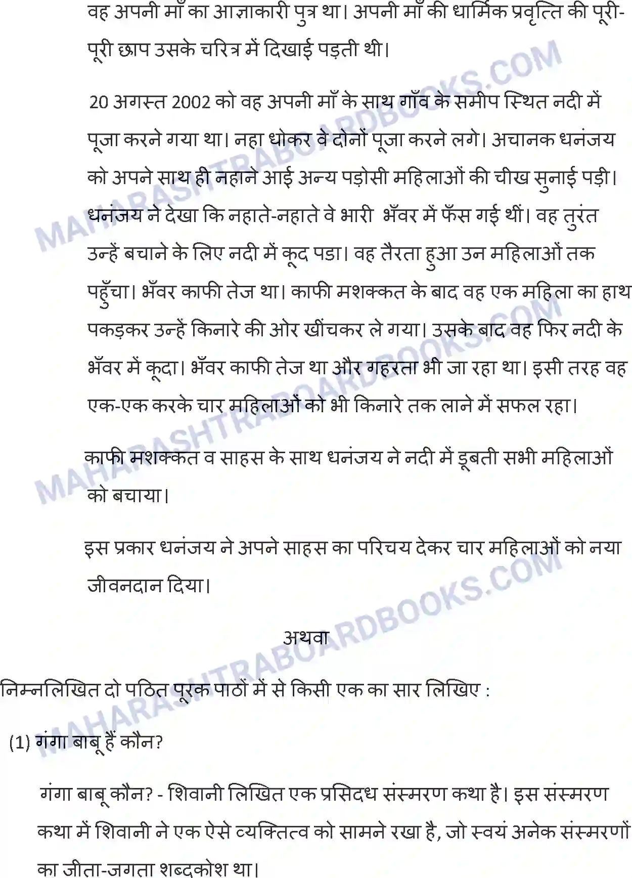 Maharashtra Board Solution SSC Hindi Paper-A 2014 Image 25