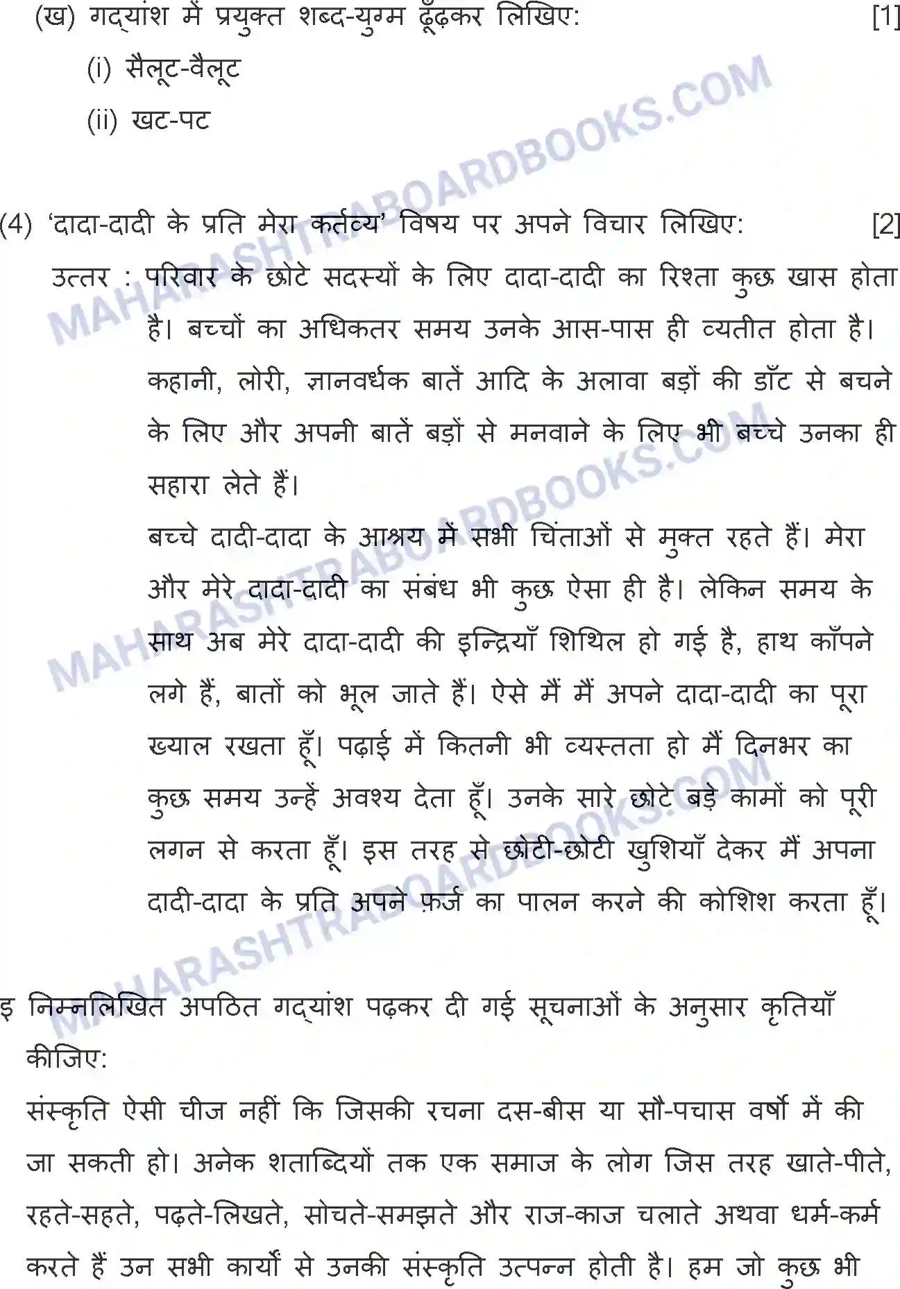 Maharashtra Board Solution SSC Hindi Paper-A 2019 Image 18