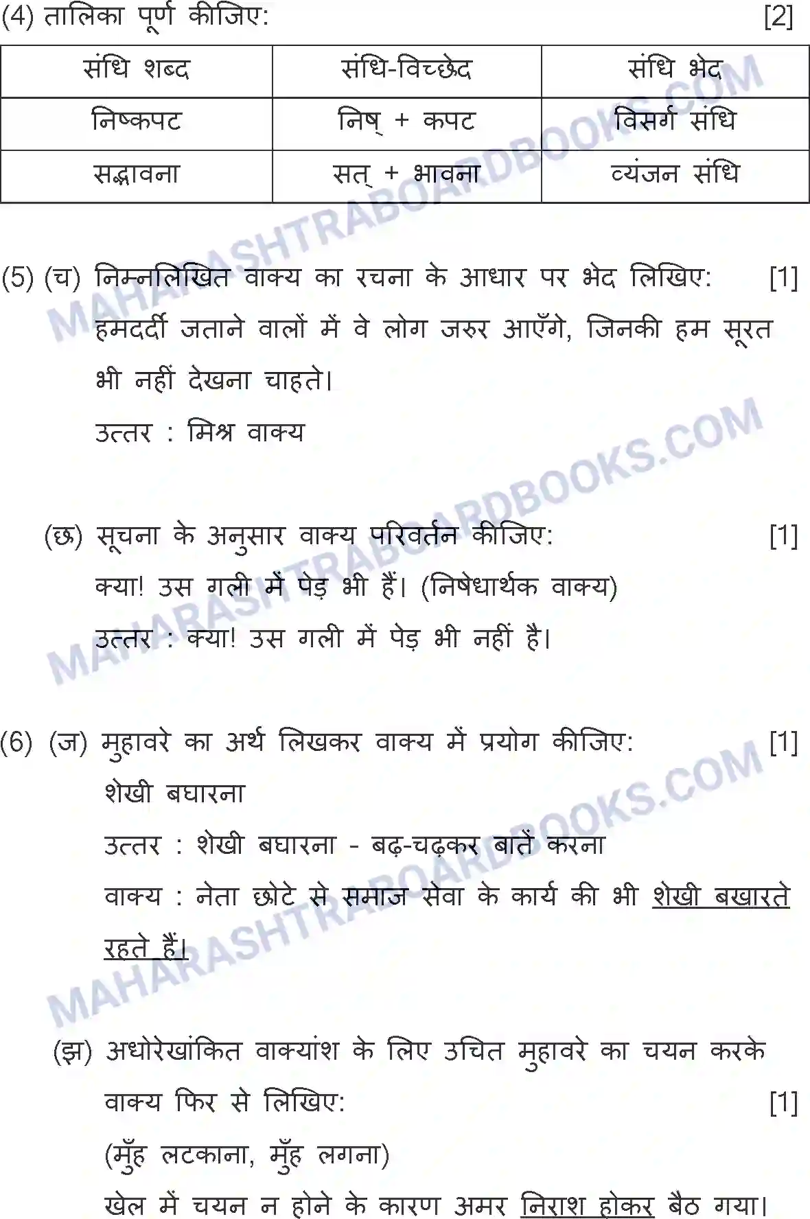 Maharashtra Board Solution SSC Hindi Paper-A 2019 Image 29