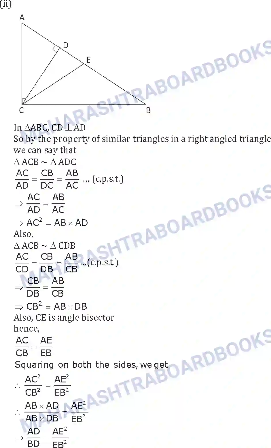 Maharashtra Board Solution SSC Mathematics Paper-B 2019 Image 18