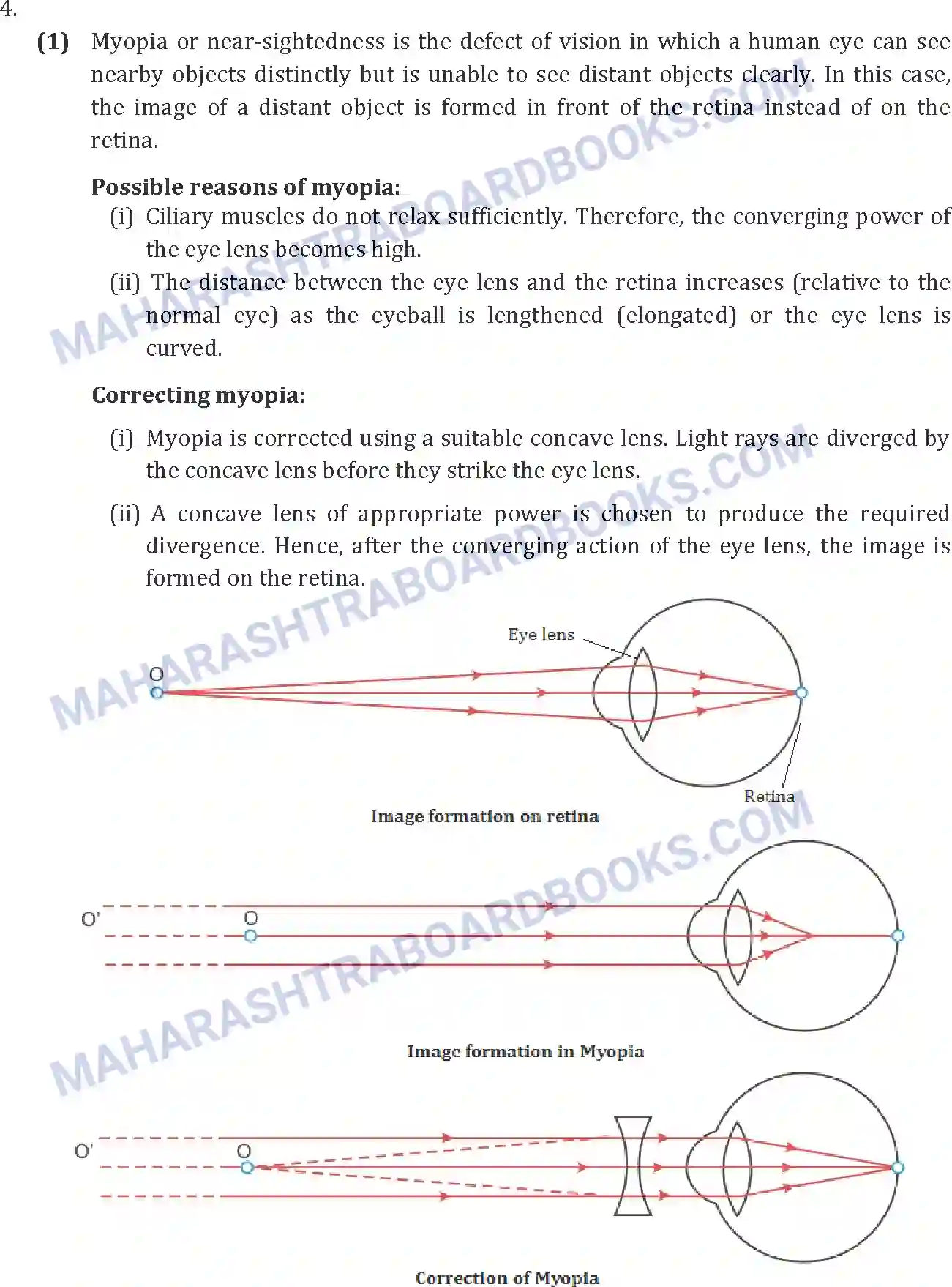 Maharashtra Board Solution SSC Science Paper-A 2013 Image 14