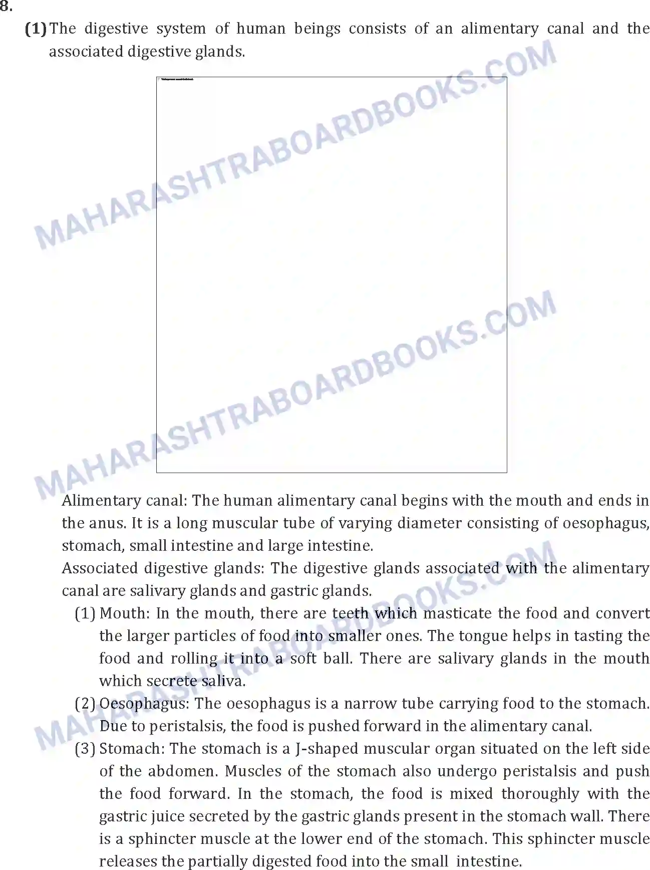 Maharashtra Board Solution SSC Science Paper-A 2013 Image 21