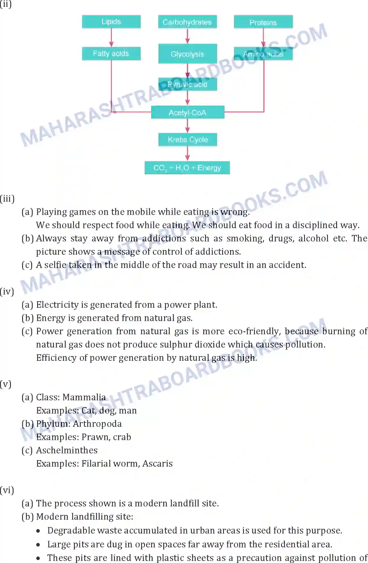 Maharashtra Board Solution SSC Science Paper-B 2019 Image 11