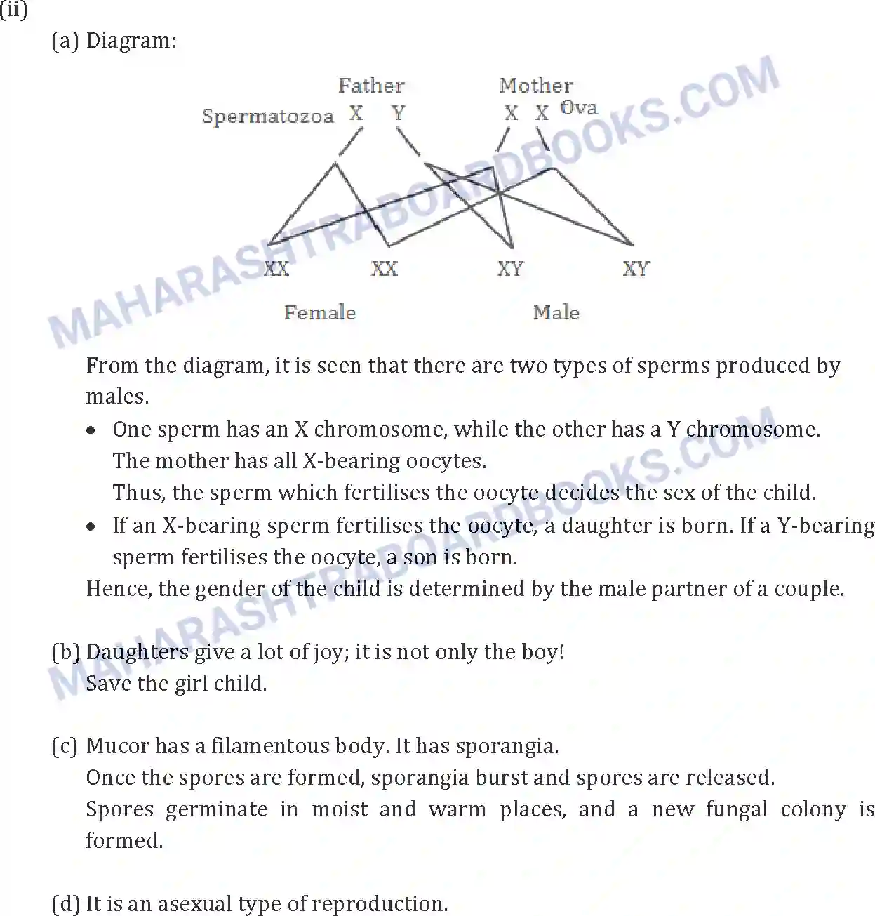 Maharashtra Board Solution SSC Science Paper-B 2019 Image 13