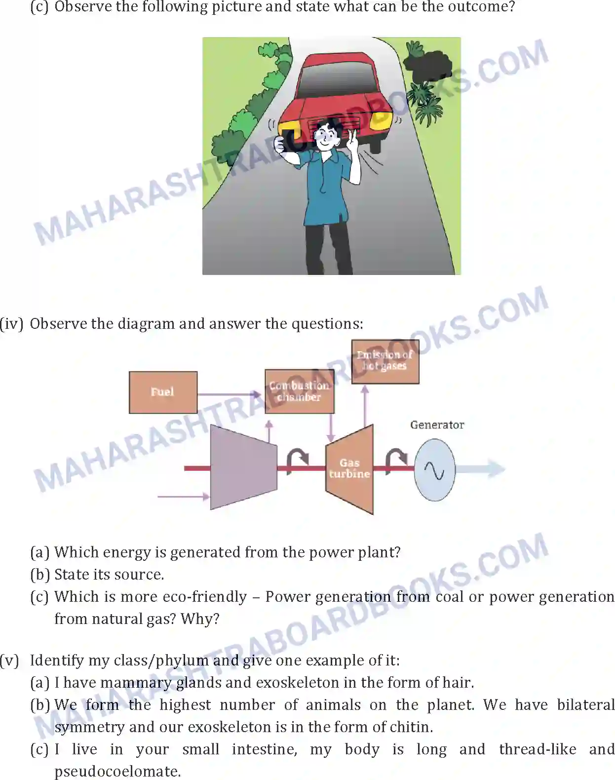 Maharashtra Board Solution SSC Science Paper-B 2019 Image 5