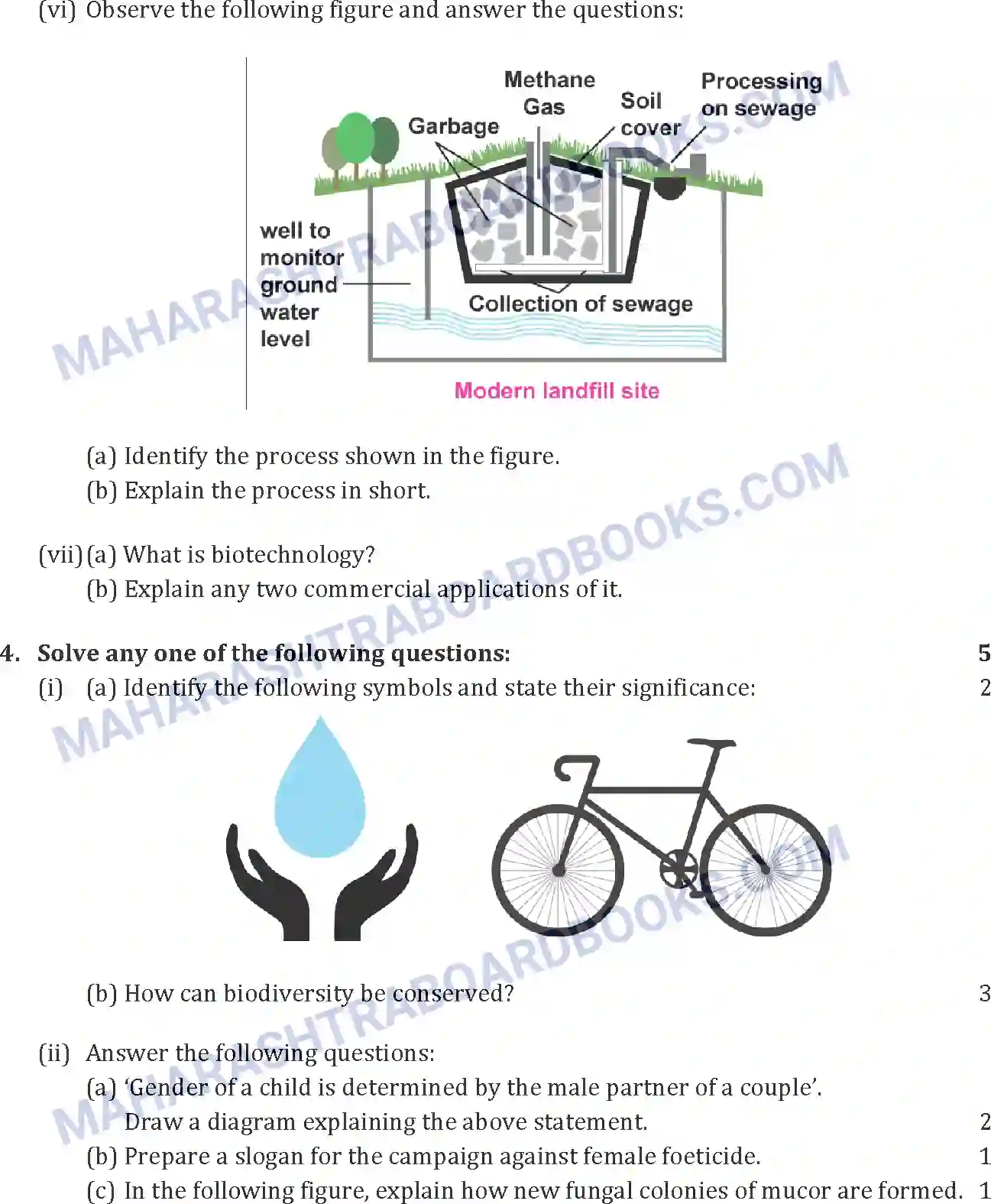 Maharashtra Board Solution SSC Science Paper-B 2019 Image 6