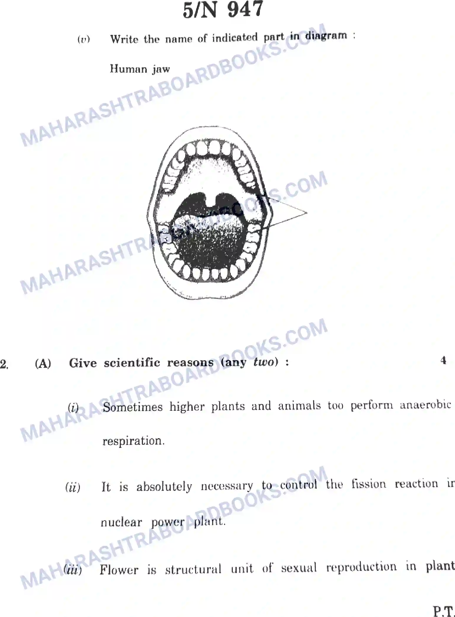 Maharashtra Board Solution SSC Science Paper-D 2023 Image 5