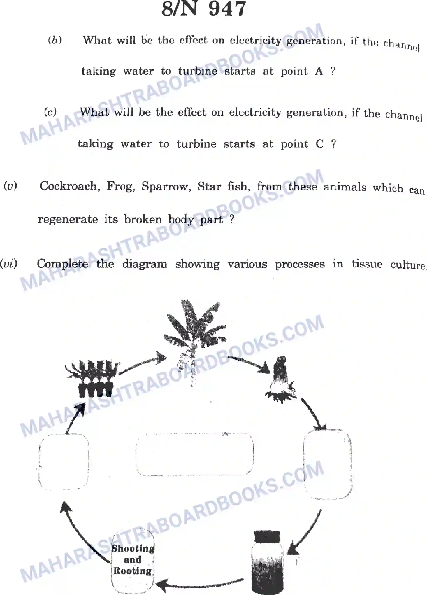 Maharashtra Board Solution SSC Science Paper-D 2023 Image 8