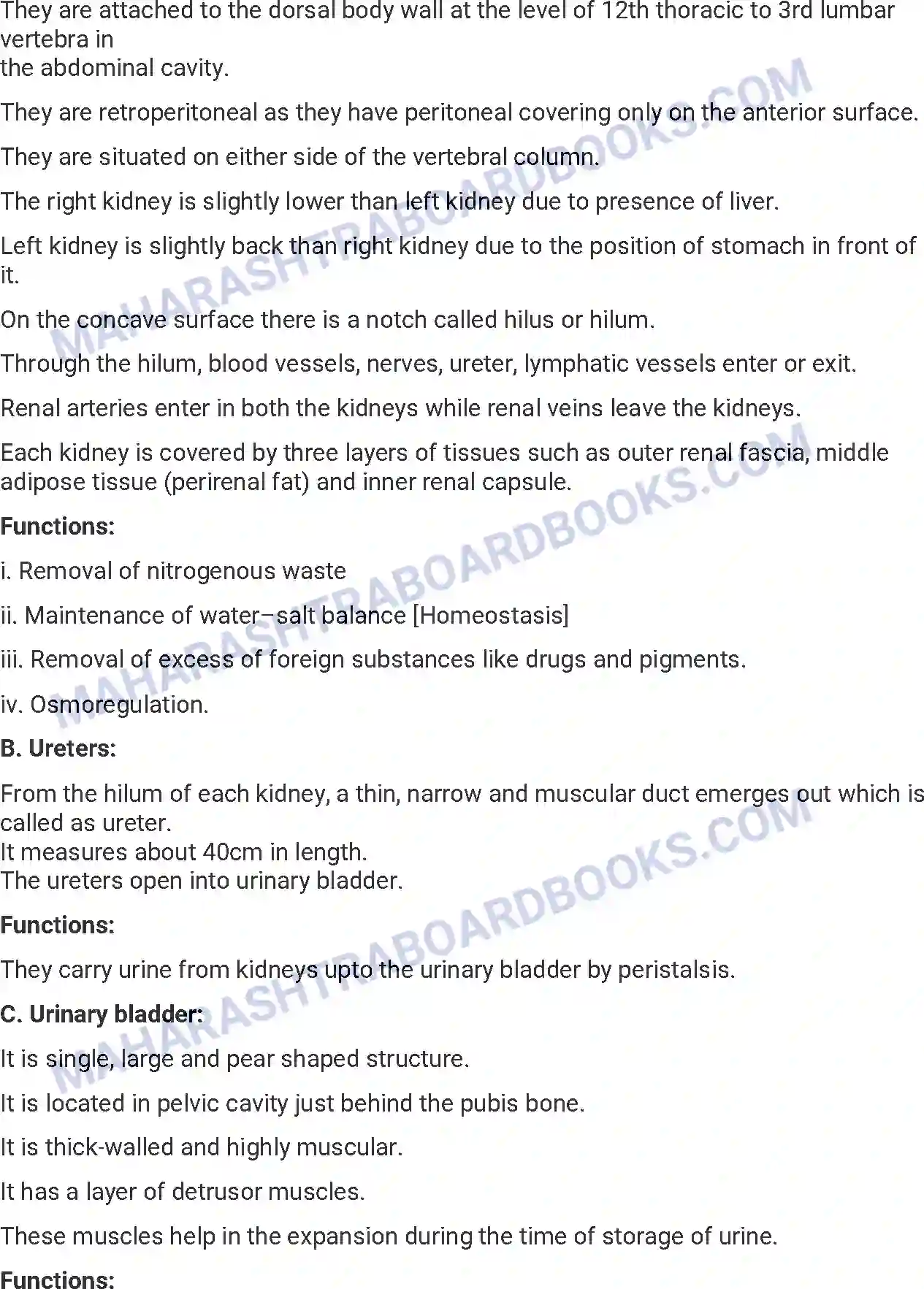 Maharashtra Board Solution HSC Biology Paper-A 2013 Image 17