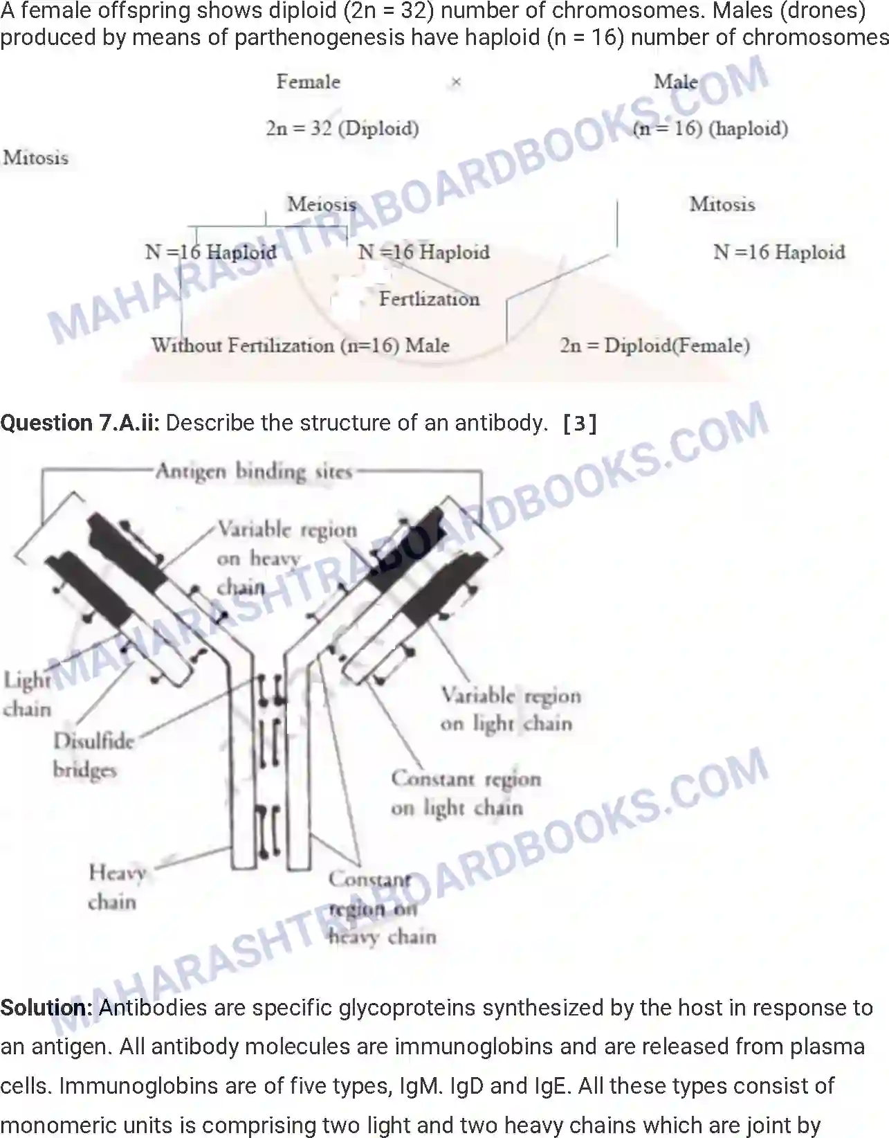 Maharashtra Board Solution HSC Biology Paper-A 2014 Image 14