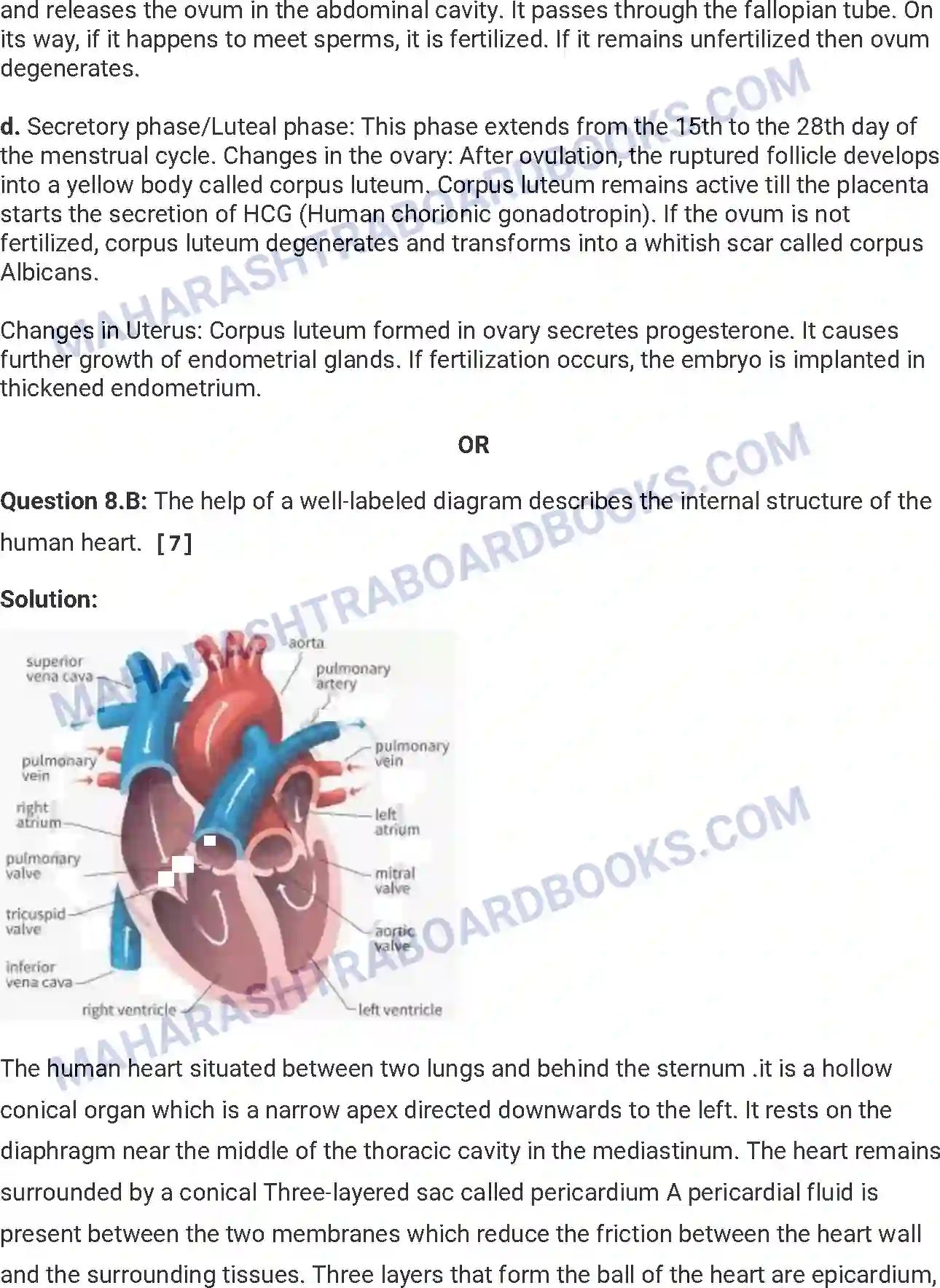 Maharashtra Board Solution HSC Biology Paper-A 2014 Image 19