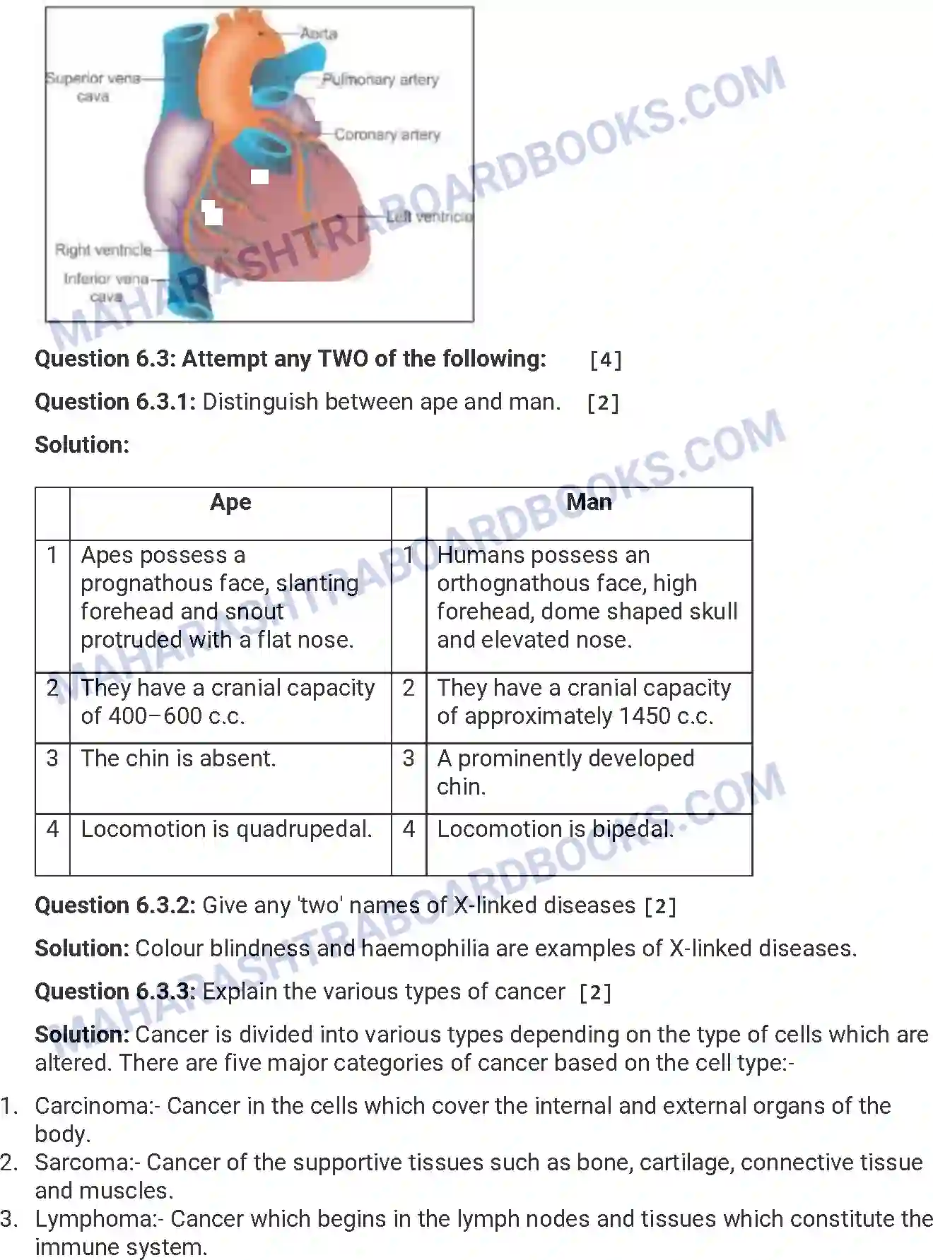 Maharashtra Board Solution HSC Biology Paper-A 2015 Image 14