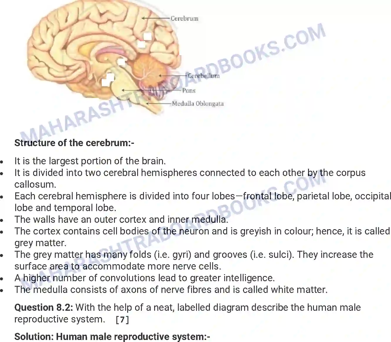 Maharashtra Board Solution HSC Biology Paper-A 2015 Image 17