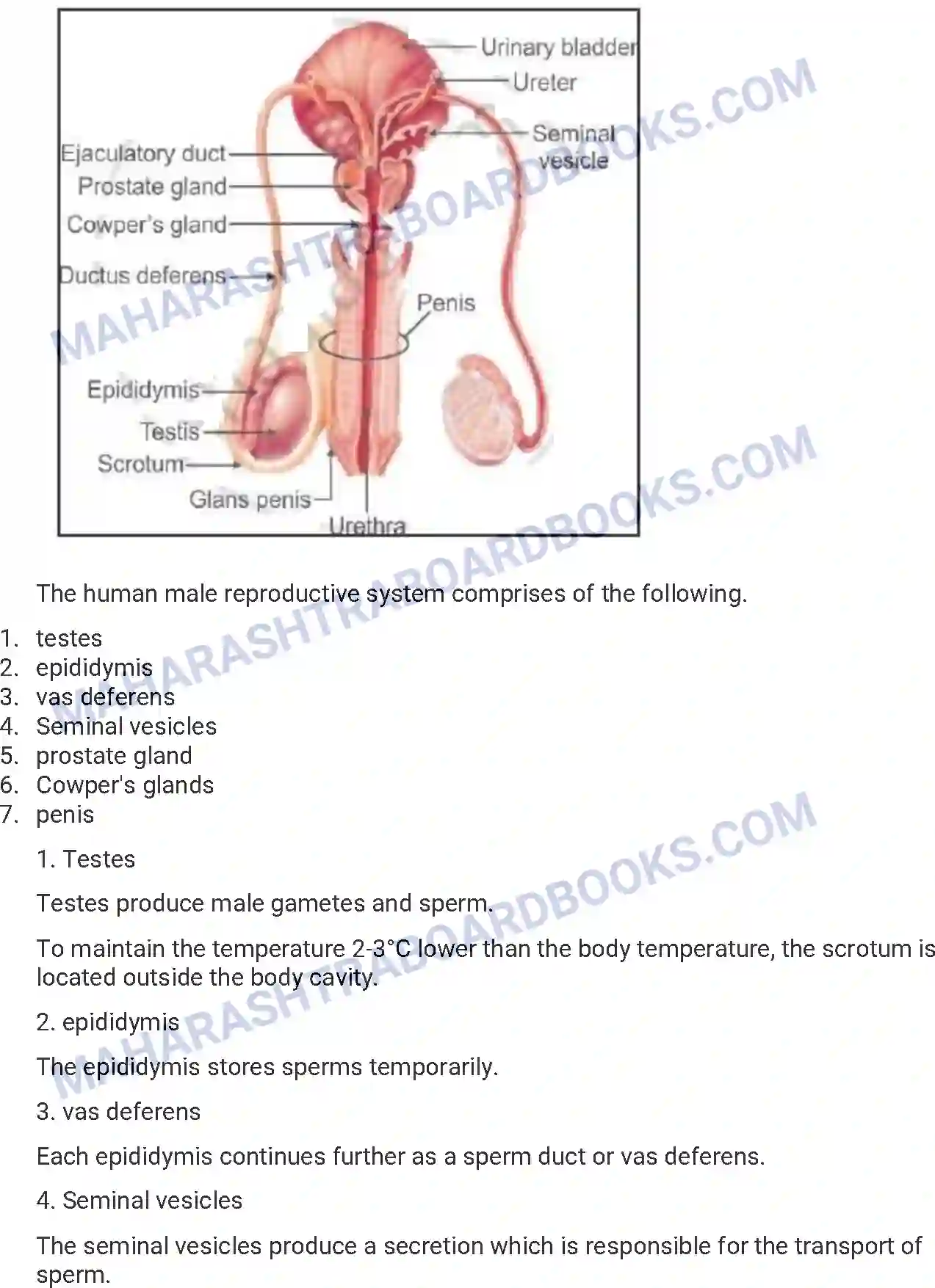 Maharashtra Board Solution HSC Biology Paper-A 2015 Image 18
