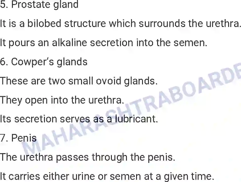 Maharashtra Board Solution HSC Biology Paper-A 2015 Image 19