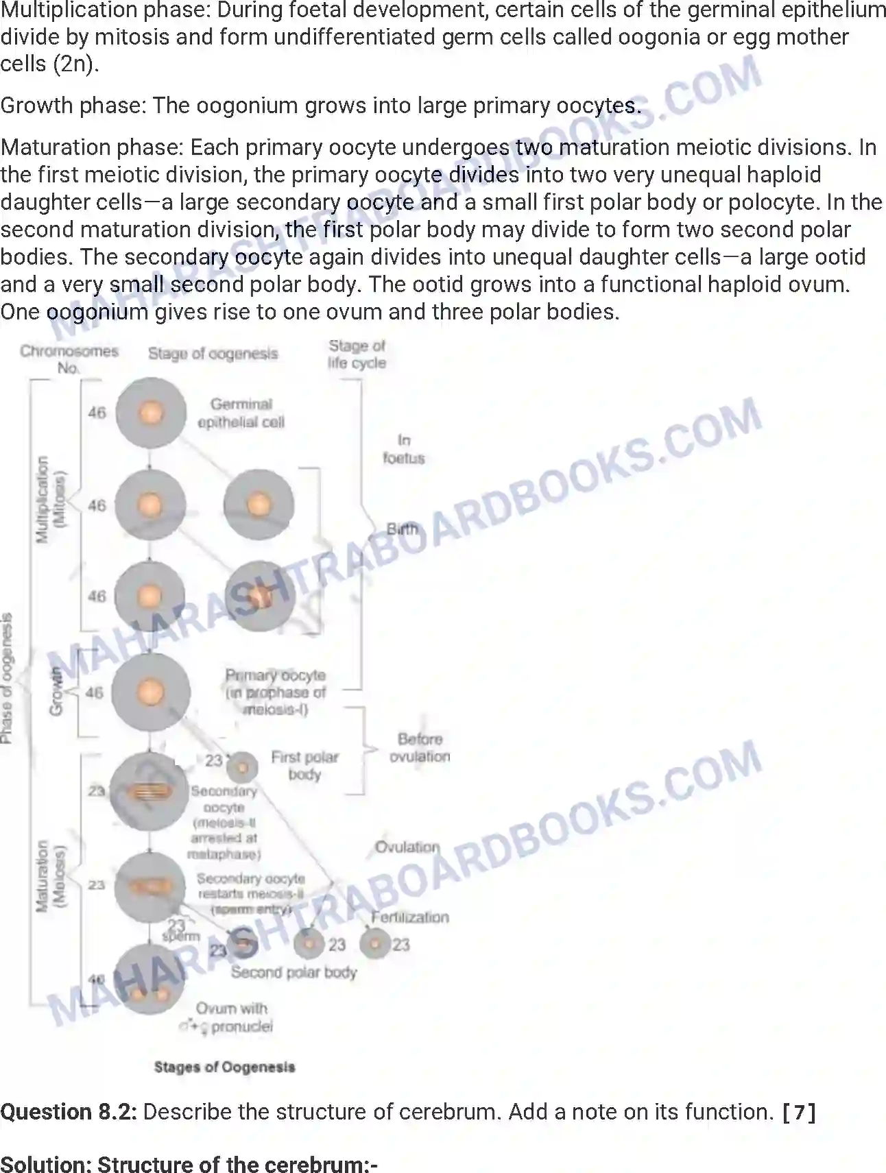 Maharashtra Board Solution HSC Biology Paper-A 2016 Image 17