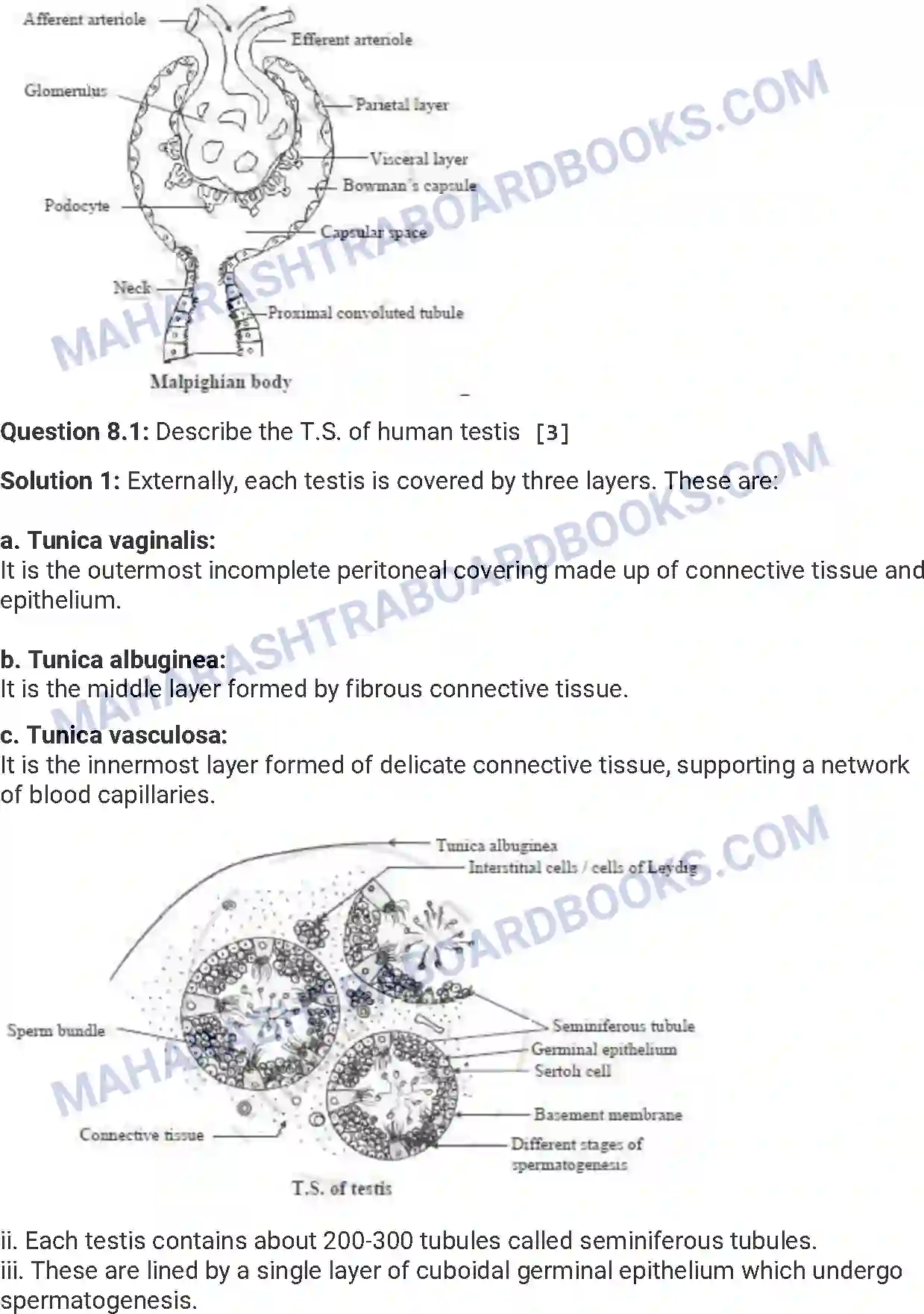 Maharashtra Board Solution HSC Biology Paper-A 2018 Image 17