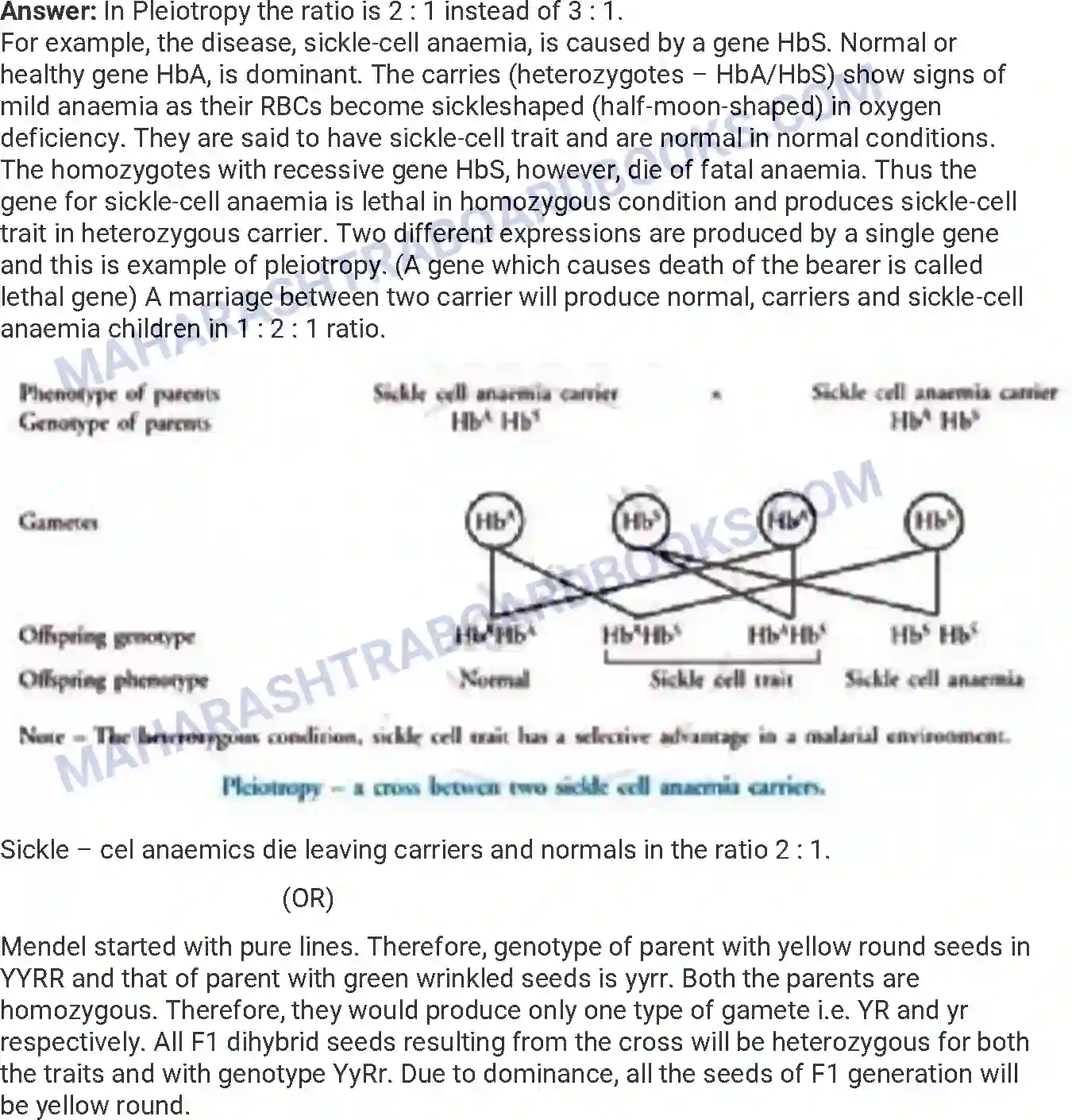 Maharashtra Board Solution HSC Biology Paper-A 2019 Image 14