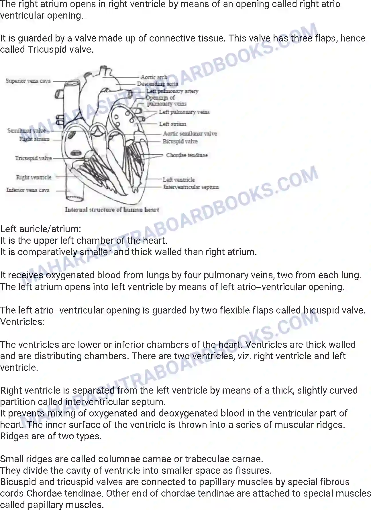 Maharashtra Board Solution HSC Biology Paper-B 2014 Image 20