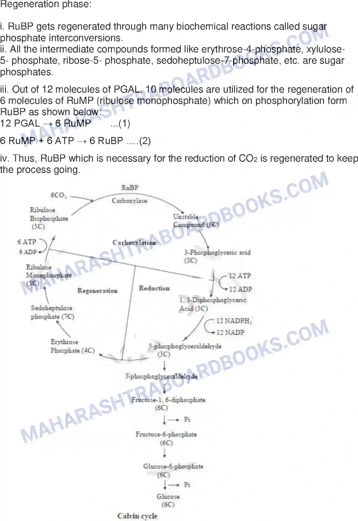 Maharashtra Board Solution HSC Biology Paper-B 2016 Image 11