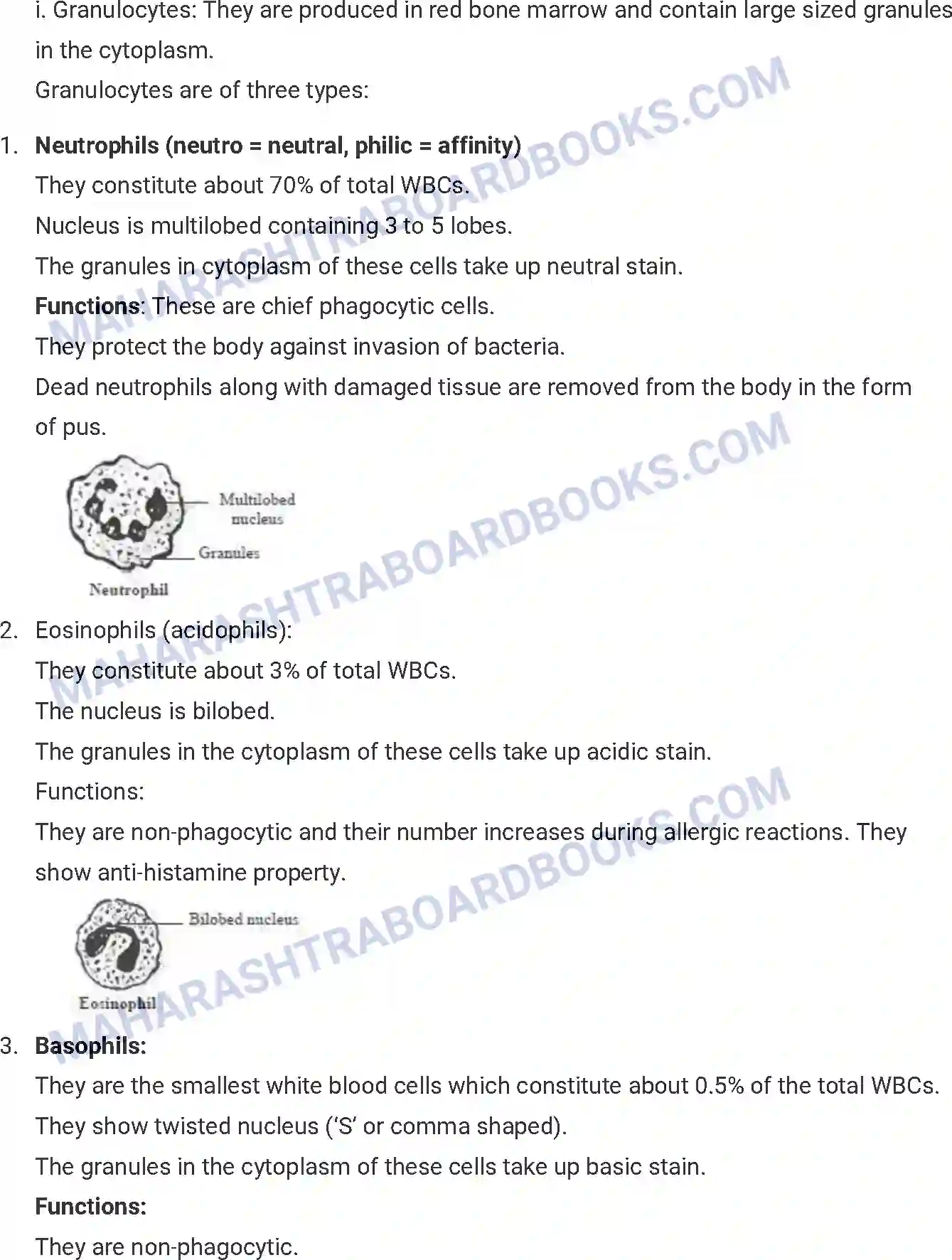 Maharashtra Board Solution HSC Biology Paper-B 2016 Image 21