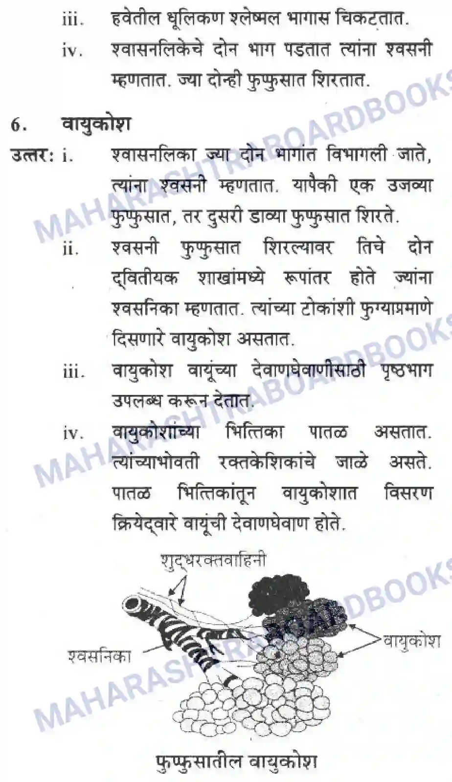 Maharashtra Board Solution Class-10 Science+&+Technology+-+Marathi+Medium Life’s Internal Secrets Image 31