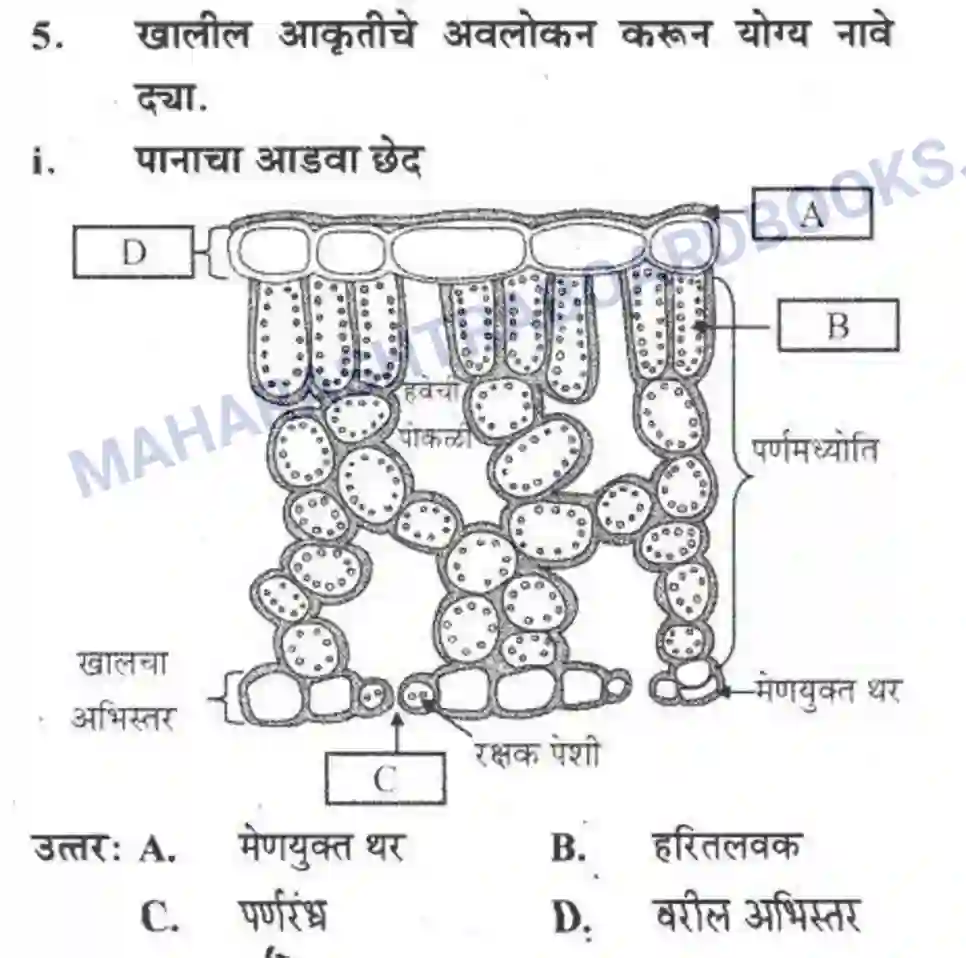 Maharashtra Board Solution Class-10 Science+&+Technology+-+Marathi+Medium Life’s Internal Secrets Image 62
