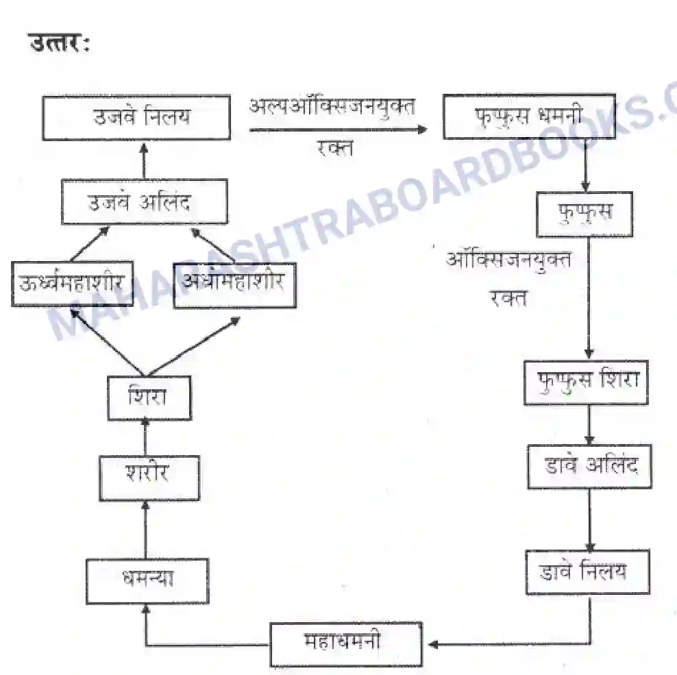 Maharashtra Board Solution Class-10 Science+&+Technology+-+Marathi+Medium Life’s Internal Secrets Image 76