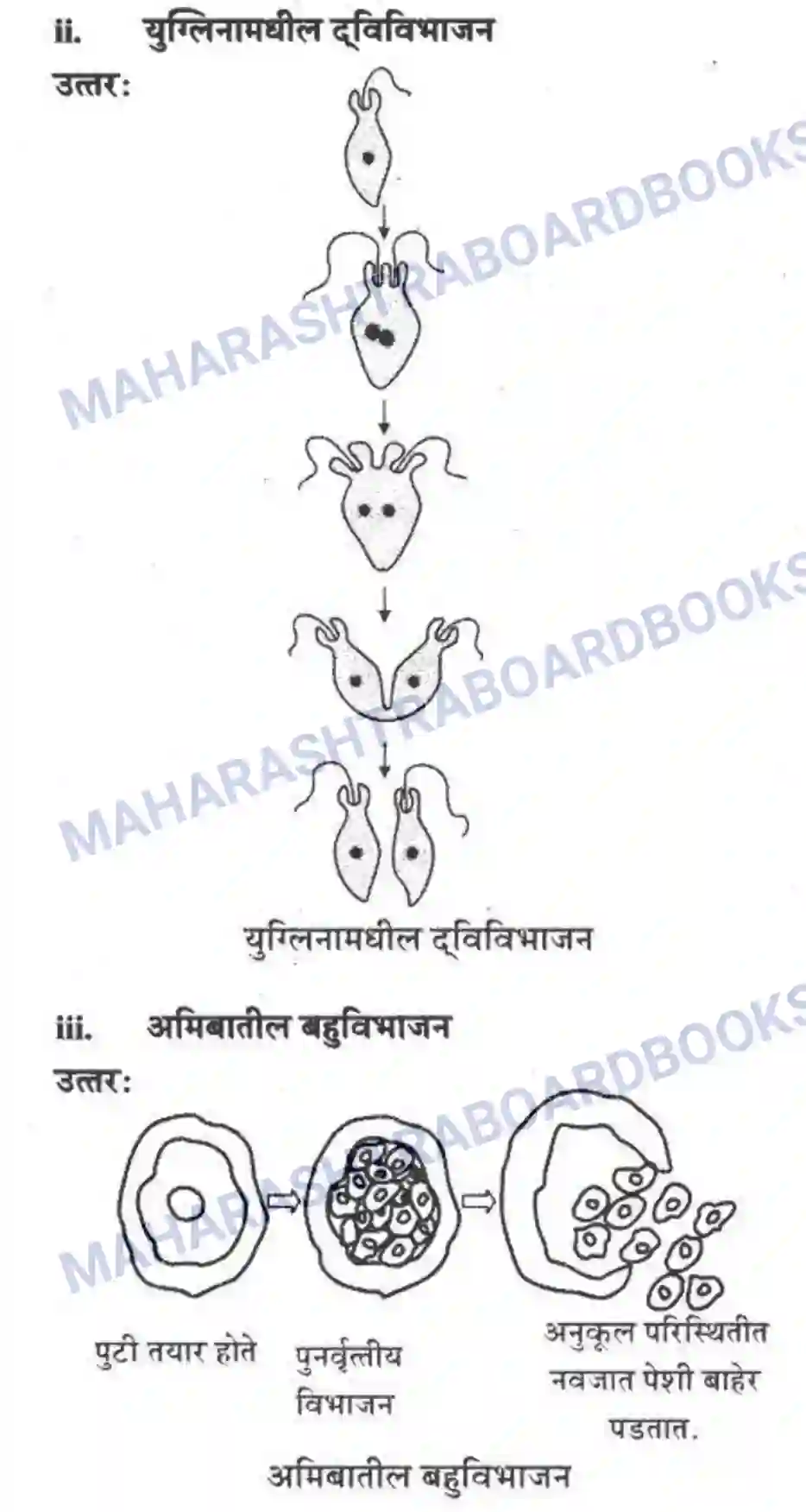 Maharashtra Board Solution Class-10 Science+&+Technology+-+Marathi+Medium The Life Cycle Image 42