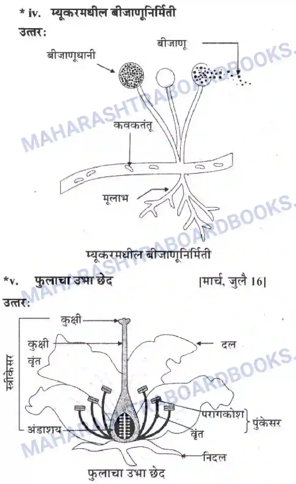 Maharashtra Board Solution Class-10 Science+&+Technology+-+Marathi+Medium The Life Cycle Image 43