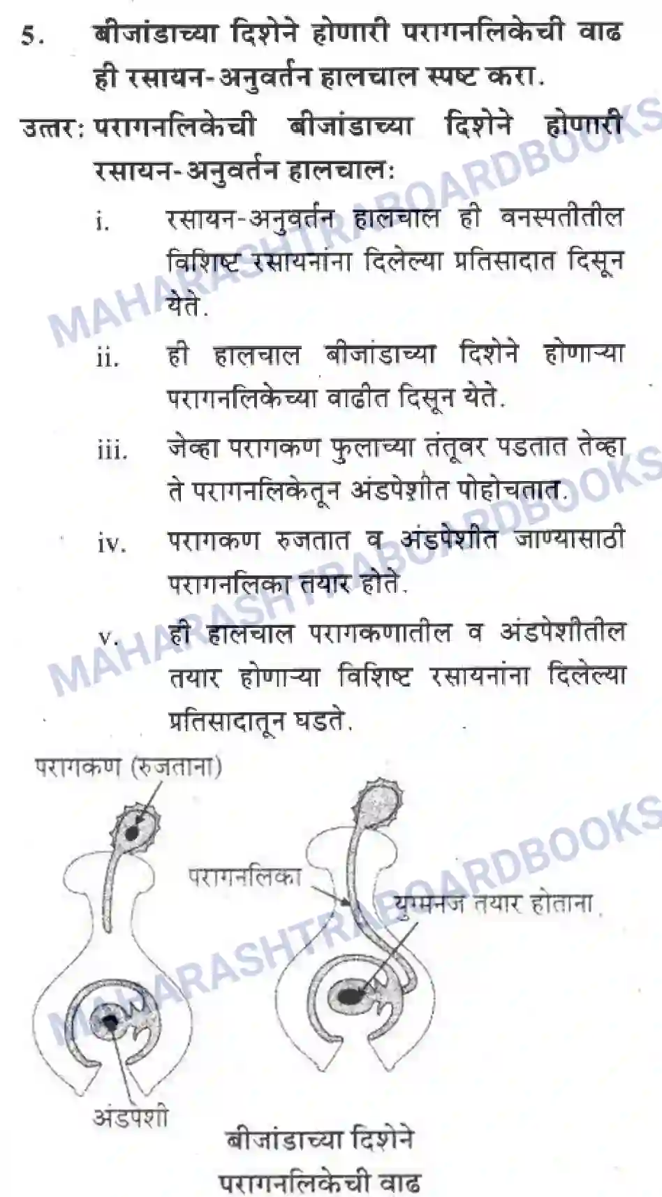 Maharashtra Board Solution Class-10 Science+&+Technology+-+Marathi+Medium The Regulators of Life Image 19