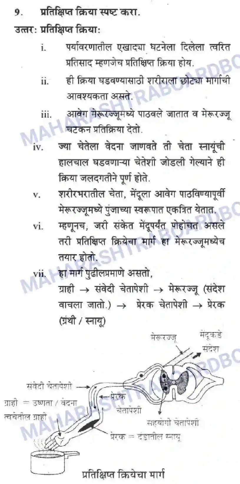 Maharashtra Board Solution Class-10 Science+&+Technology+-+Marathi+Medium The Regulators of Life Image 22