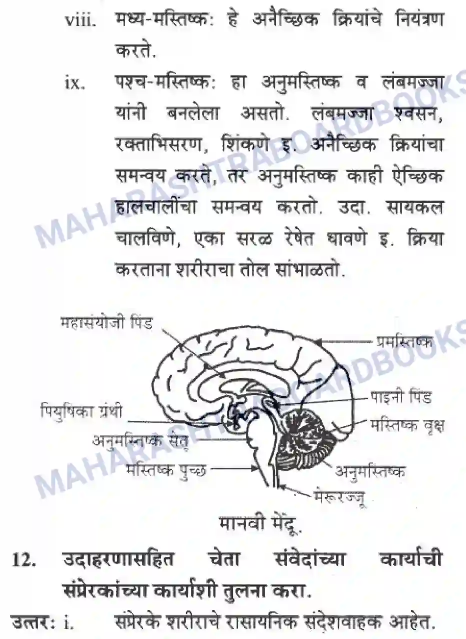 Maharashtra Board Solution Class-10 Science+&+Technology+-+Marathi+Medium The Regulators of Life Image 25