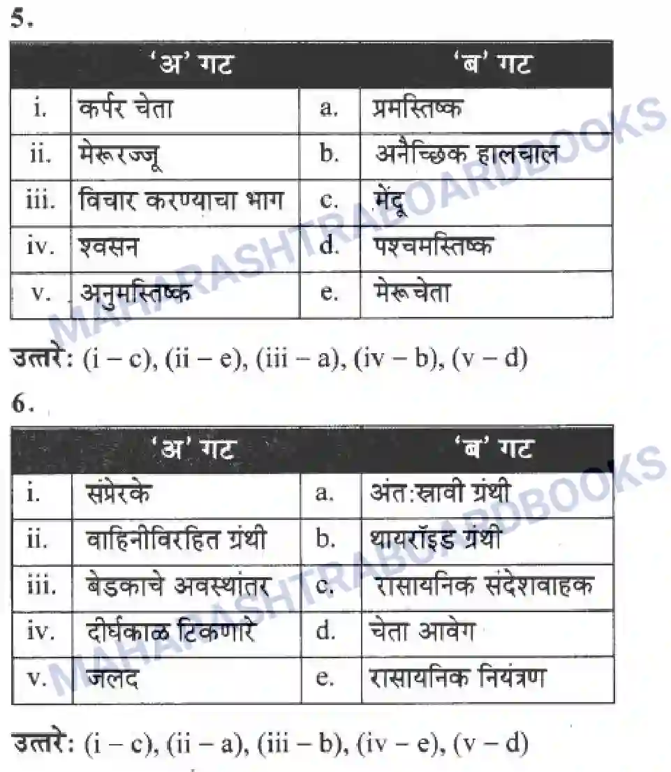 Maharashtra Board Solution Class-10 Science+&+Technology+-+Marathi+Medium The Regulators of Life Image 38