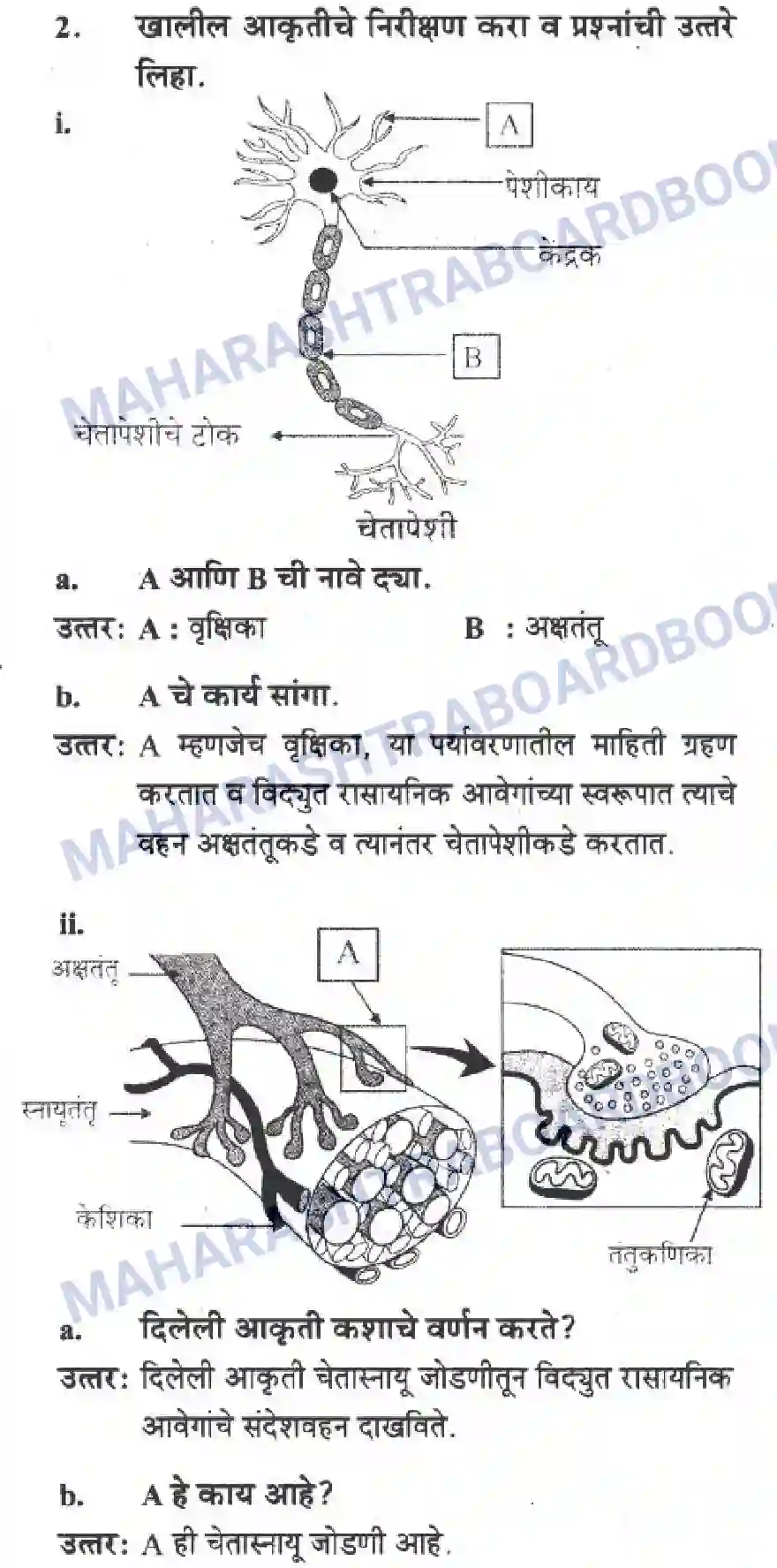 Maharashtra Board Solution Class-10 Science+&+Technology+-+Marathi+Medium The Regulators of Life Image 44