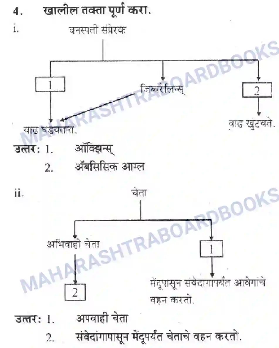 Maharashtra Board Solution Class-10 Science+&+Technology+-+Marathi+Medium The Regulators of Life Image 47