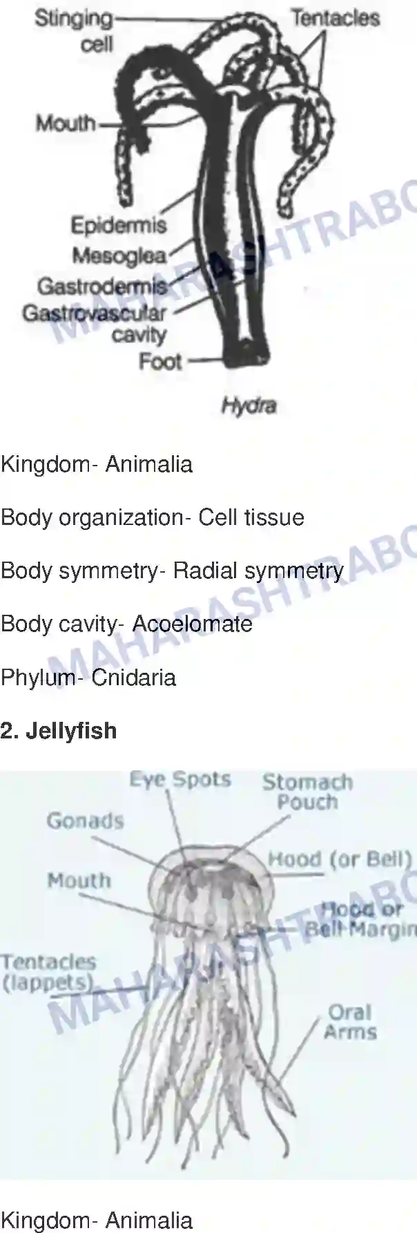 Maharashtra Board Solution class-10 Science+&+Technology-II+-+English+Medium Animal Classification Image 10