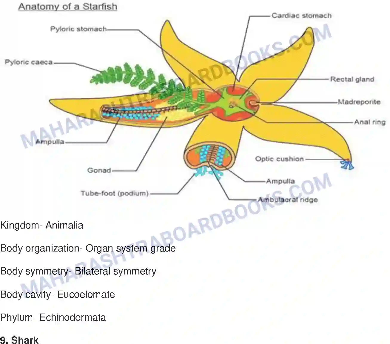 Maharashtra Board Solution class-10 Science+&+Technology-II+-+English+Medium Animal Classification Image 16