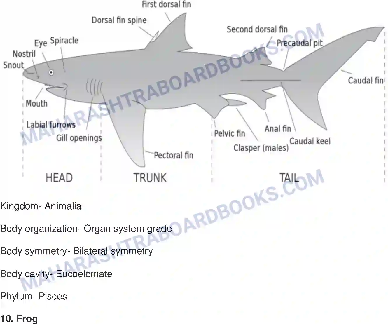 Maharashtra Board Solution class-10 Science+&+Technology-II+-+English+Medium Animal Classification Image 17