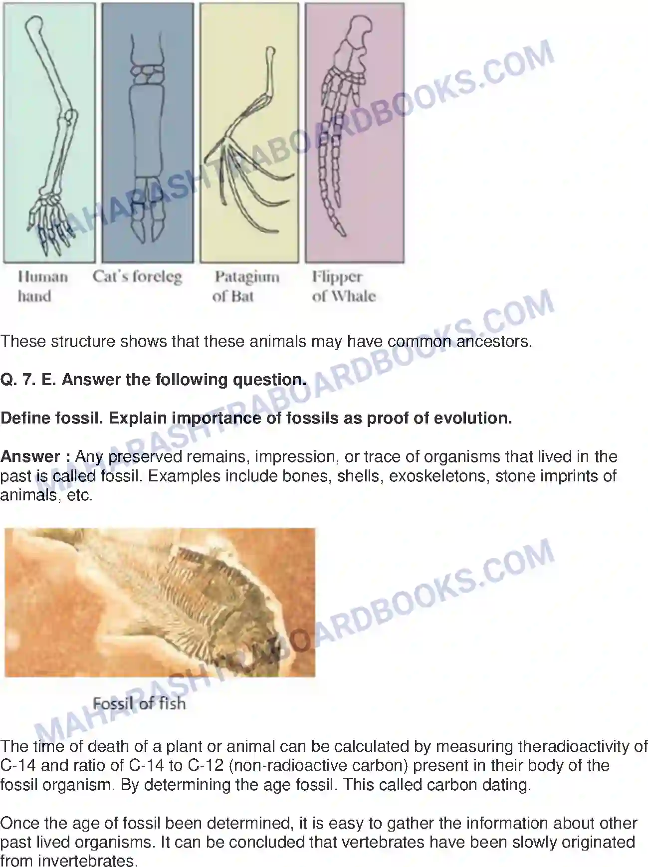 Maharashtra Board Solution Class-10 Science+&+Technology-II+-+English+Medium Heredity and Evolution Image 13