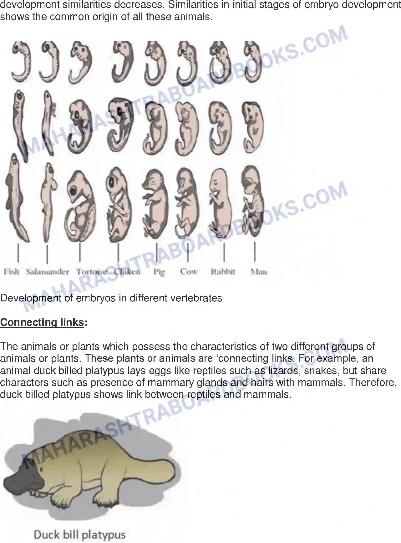 Maharashtra Board Solution Class-10 Science+&+Technology-II+-+English+Medium Heredity and Evolution Image 2