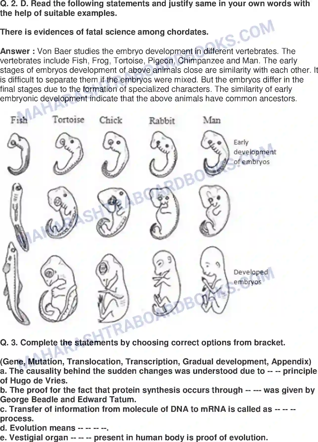 Maharashtra Board Solution Class-10 Science+&+Technology-II+-+English+Medium Heredity and Evolution Image 5