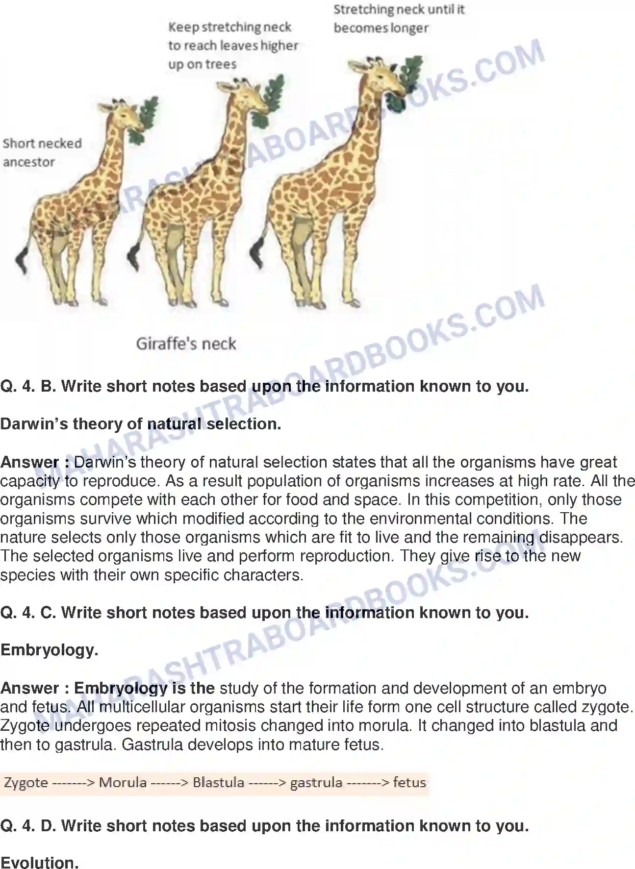 Maharashtra Board Solution Class-10 Science+&+Technology-II+-+English+Medium Heredity and Evolution Image 7