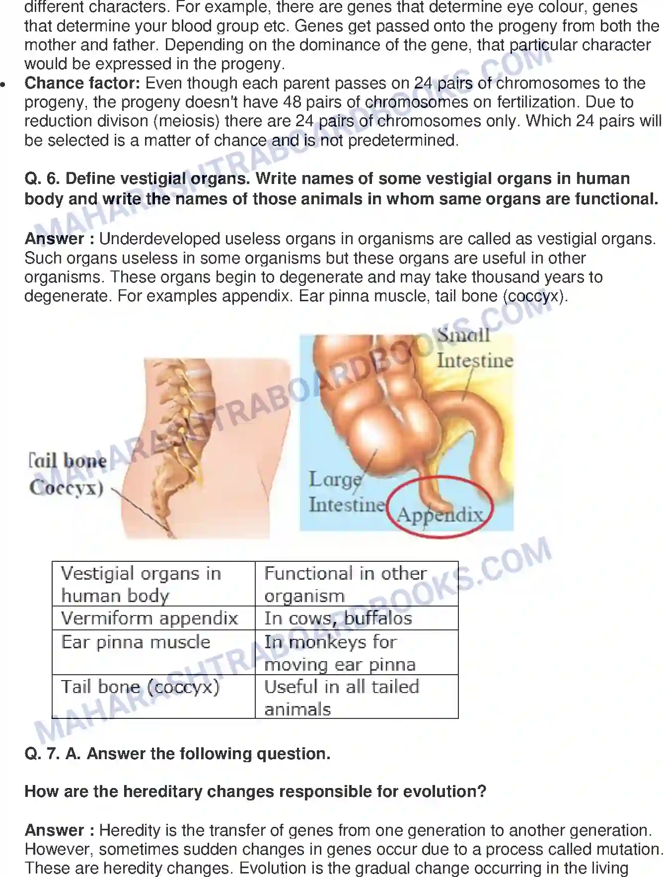 Maharashtra Board Solution Class-10 Science+&+Technology-II+-+English+Medium Heredity and Evolution Image 9