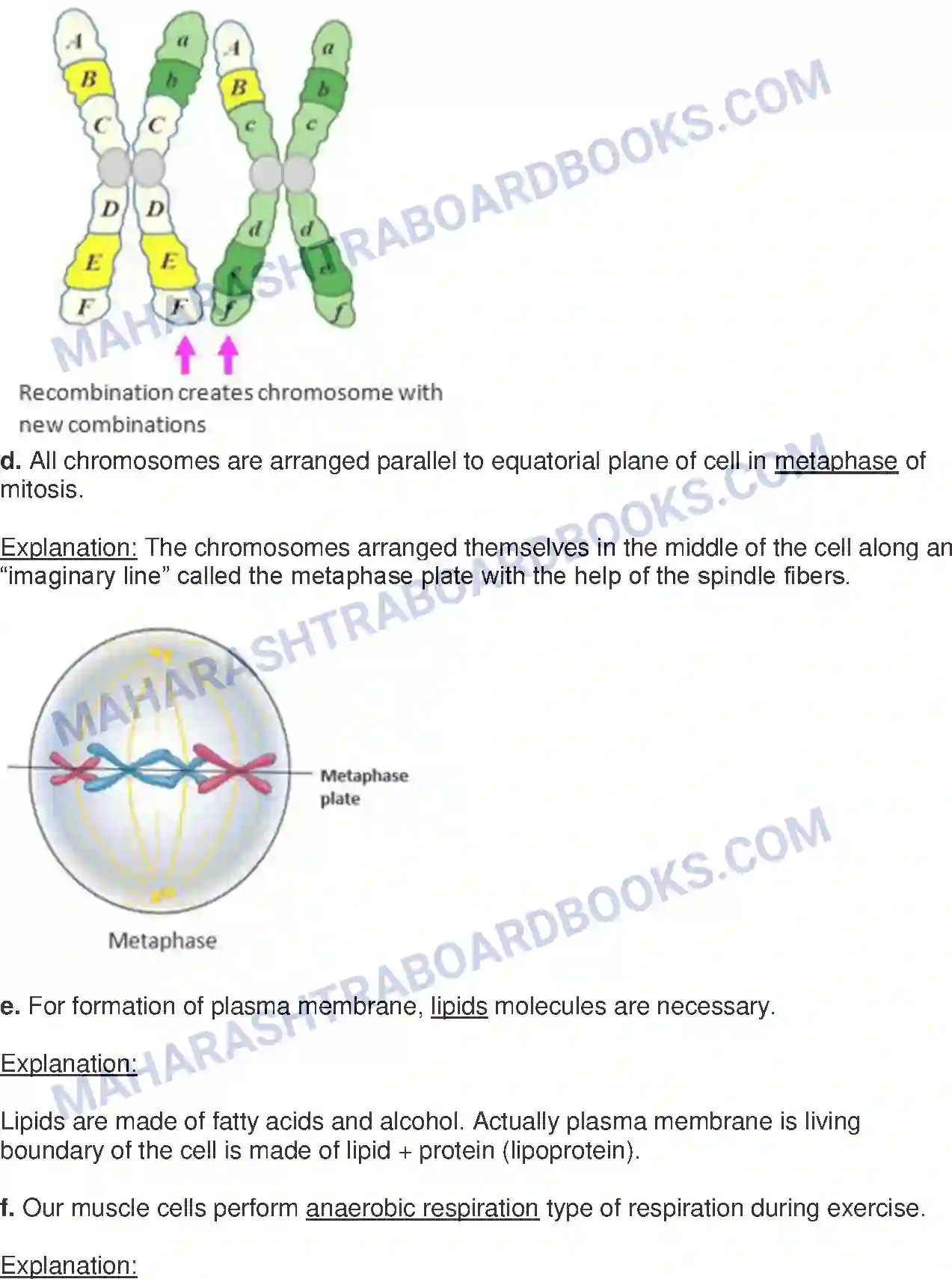 Maharashtra Board Solution class-10 Science+&+Technology-II+-+English+Medium Life Processes in Living Organisms Part-1 Image 2