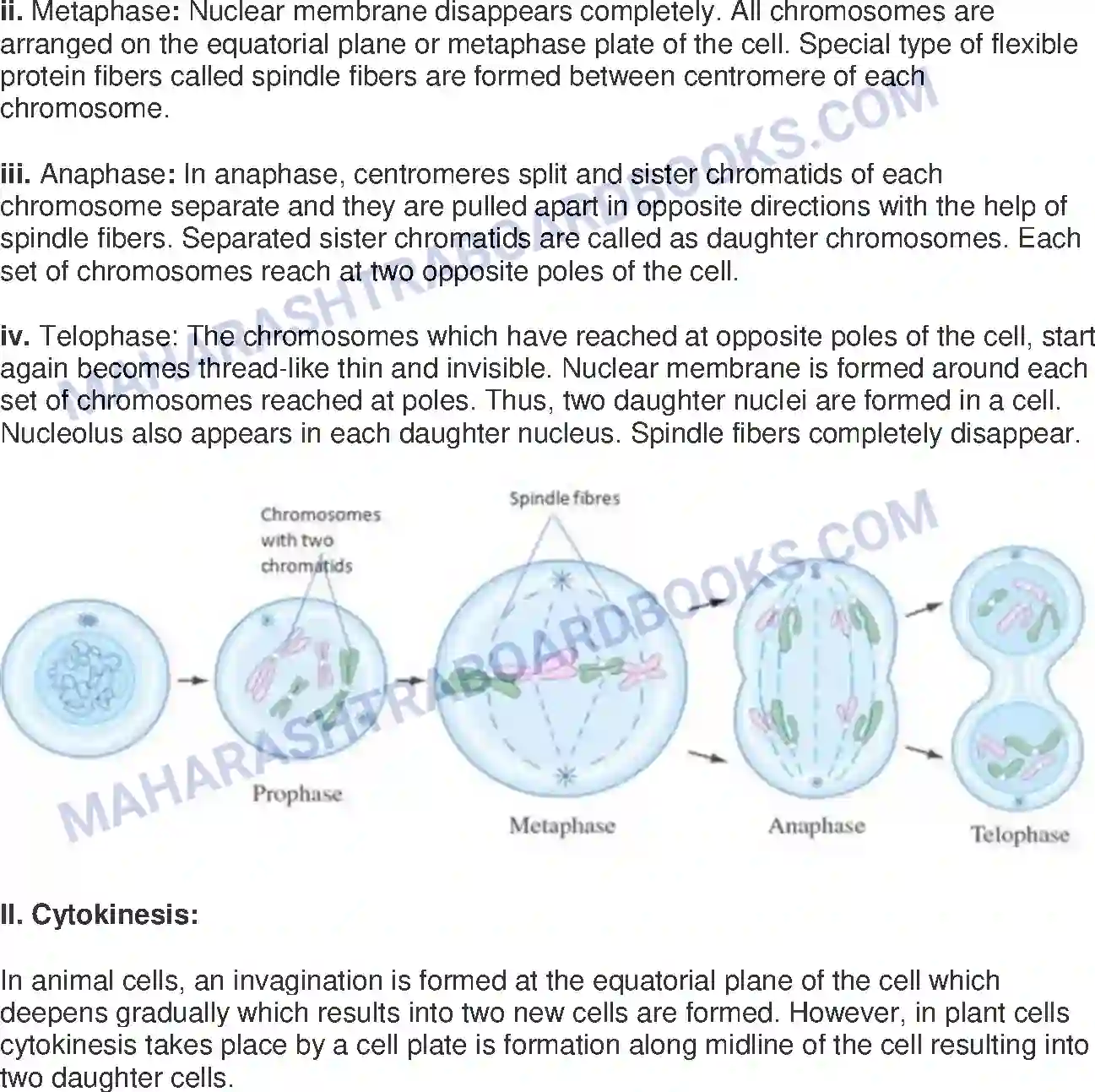 Maharashtra Board Solution class-10 Science+&+Technology-II+-+English+Medium Life Processes in Living Organisms Part-1 Image 8