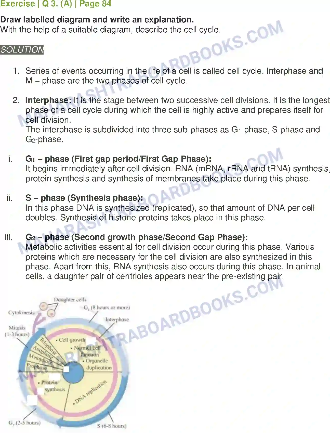 Maharashtra Board Solution class-11 Biology Cell Division Image 8