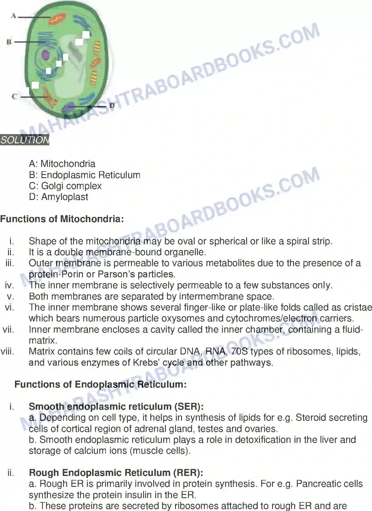 Maharashtra Board Solution Class-11 Biology Cell Structure and Organization Image 11